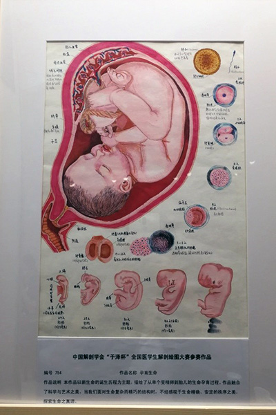 WilliamHill(威廉希尔)官网