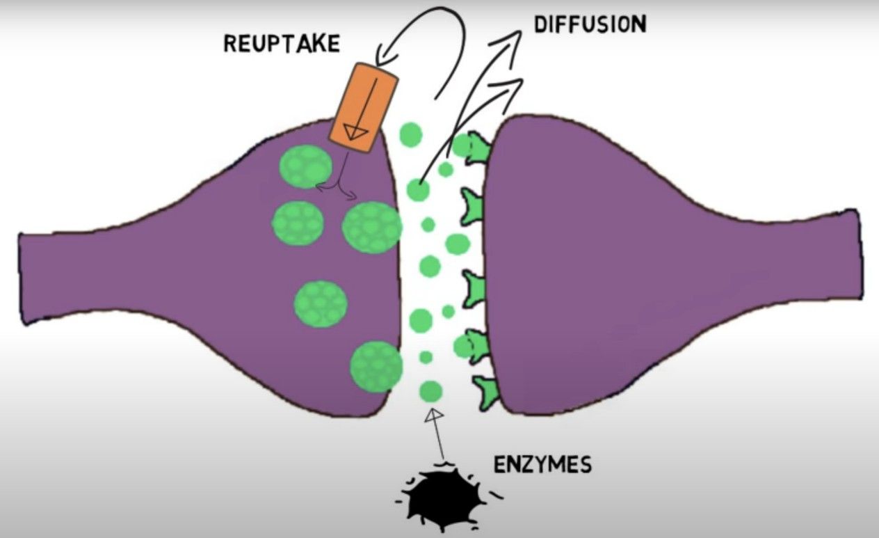 WilliamHill(威廉希尔)官网
