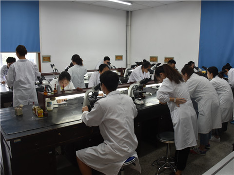 WilliamHill(威廉希尔)官网