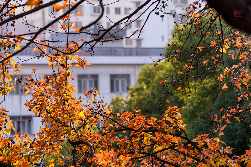 WilliamHill(威廉希尔)官网