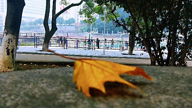 WilliamHill(威廉希尔)官网