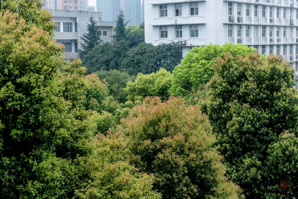 WilliamHill(威廉希尔)官网