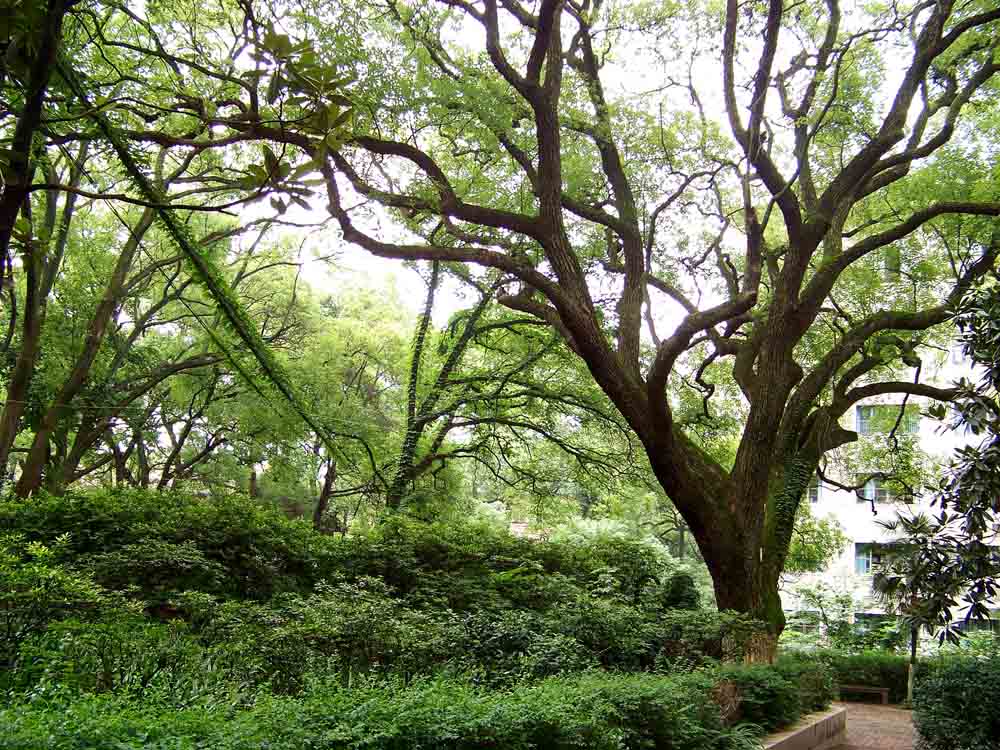 WilliamHill(威廉希尔)官网