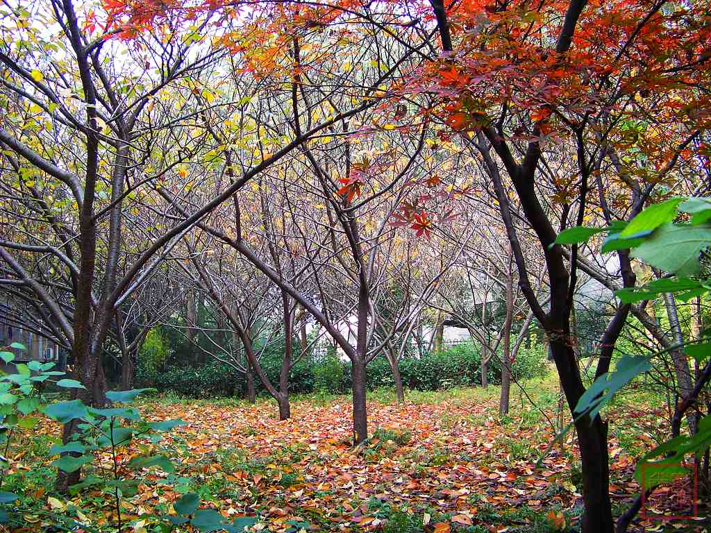 WilliamHill(威廉希尔)官网