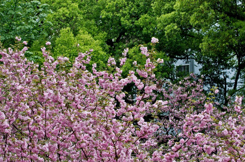 WilliamHill(威廉希尔)官网