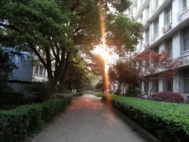 WilliamHill(威廉希尔)官网