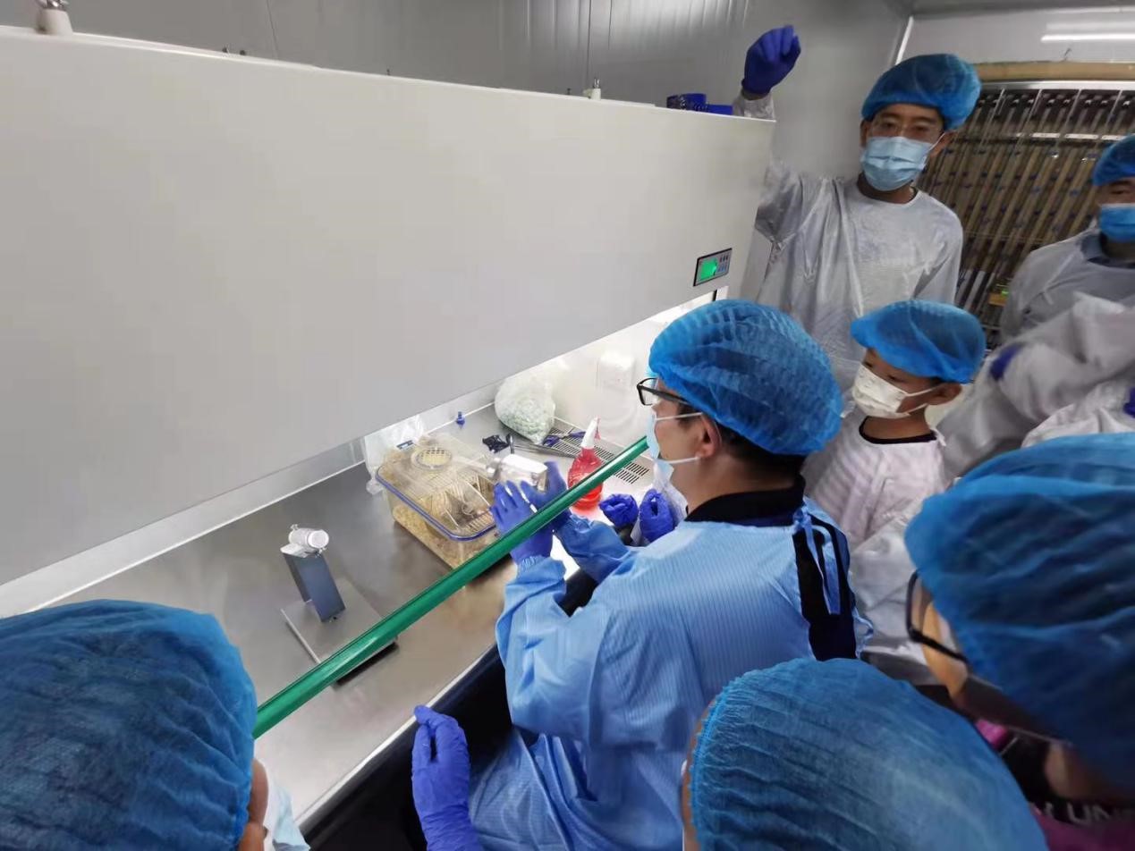 WilliamHill(威廉希尔)官网