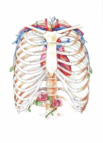 WilliamHill(威廉希尔)官网