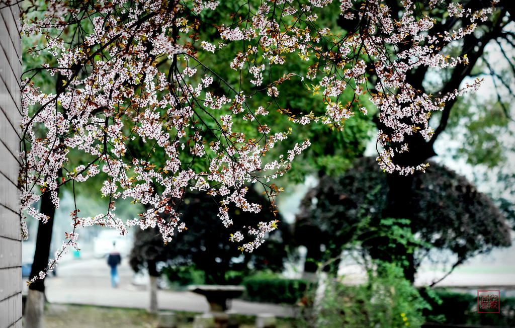 WilliamHill(威廉希尔)官网