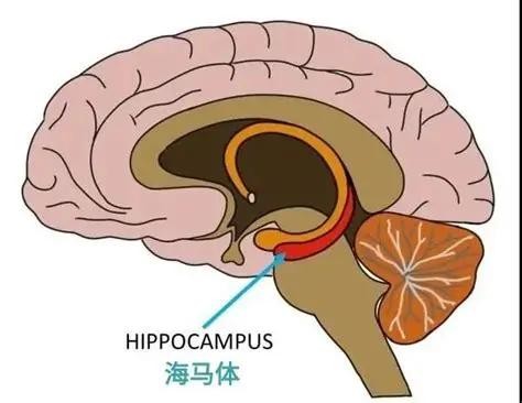 WilliamHill(威廉希尔)官网