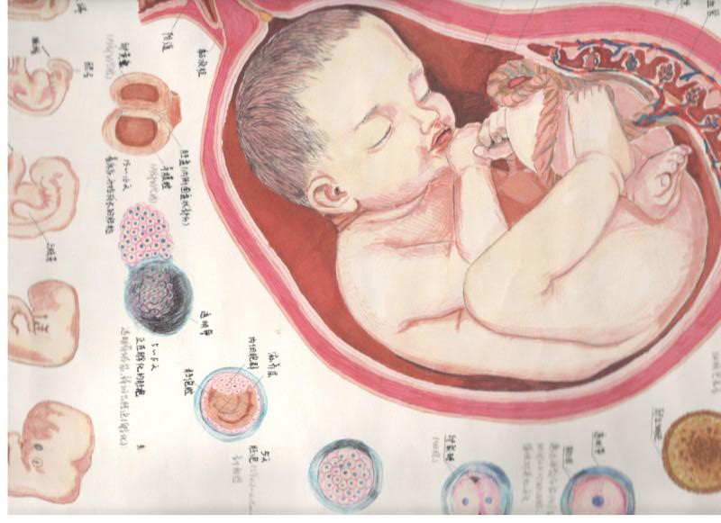 WilliamHill(威廉希尔)官网