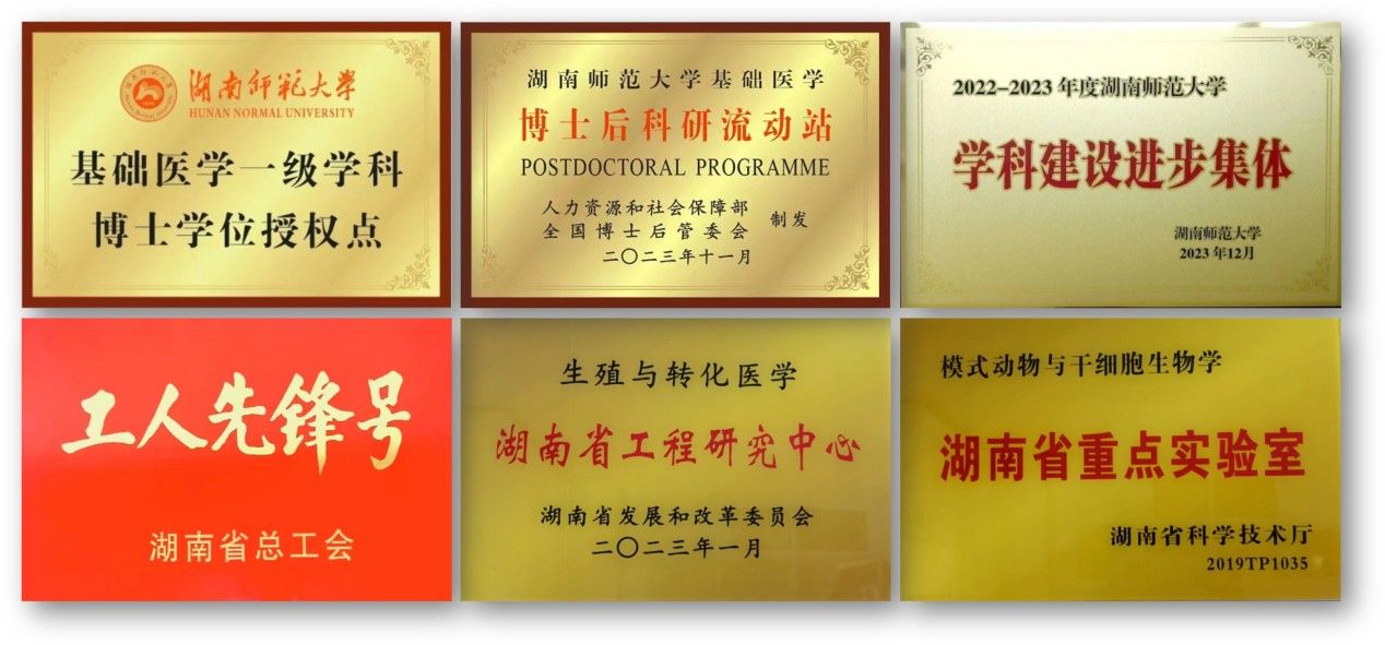 WilliamHill(威廉希尔)官网