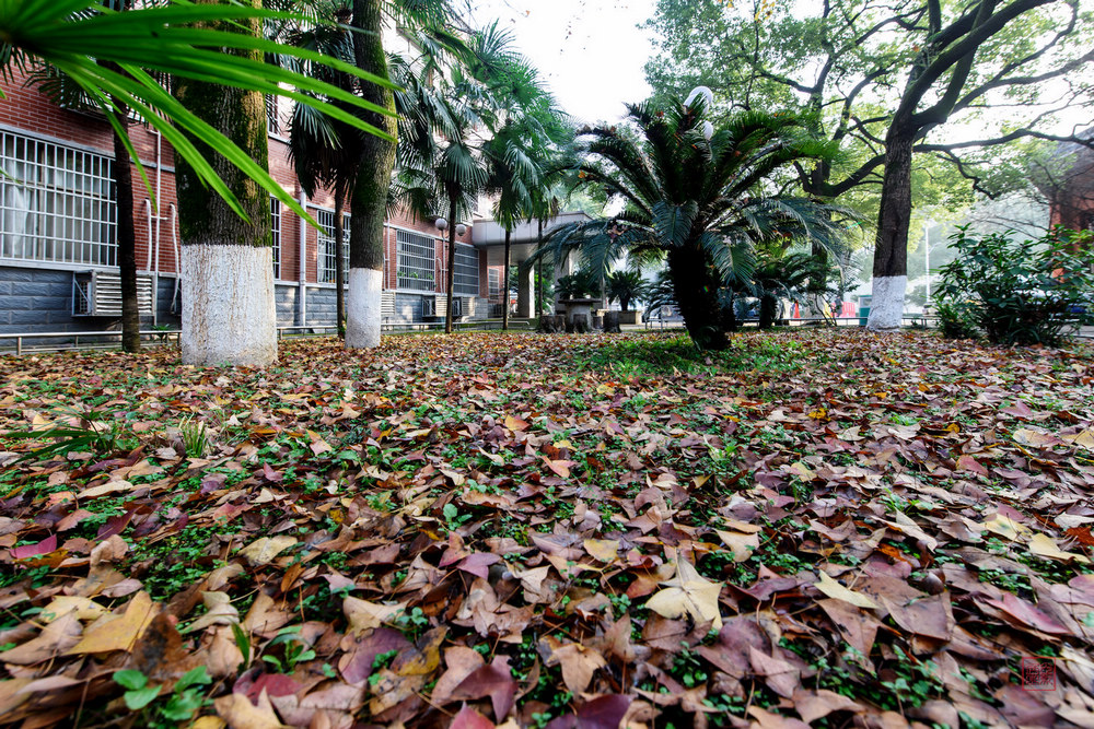 WilliamHill(威廉希尔)官网