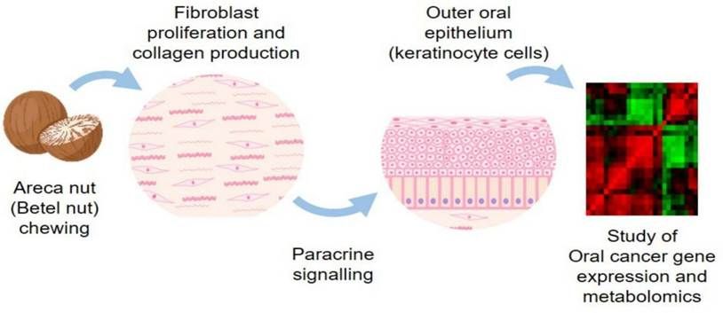 1-s2.0-S2590124926000027-ga1_lrg