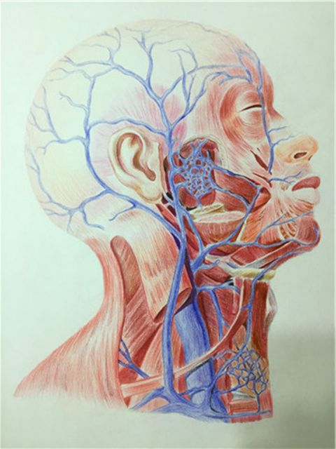 WilliamHill(威廉希尔)官网