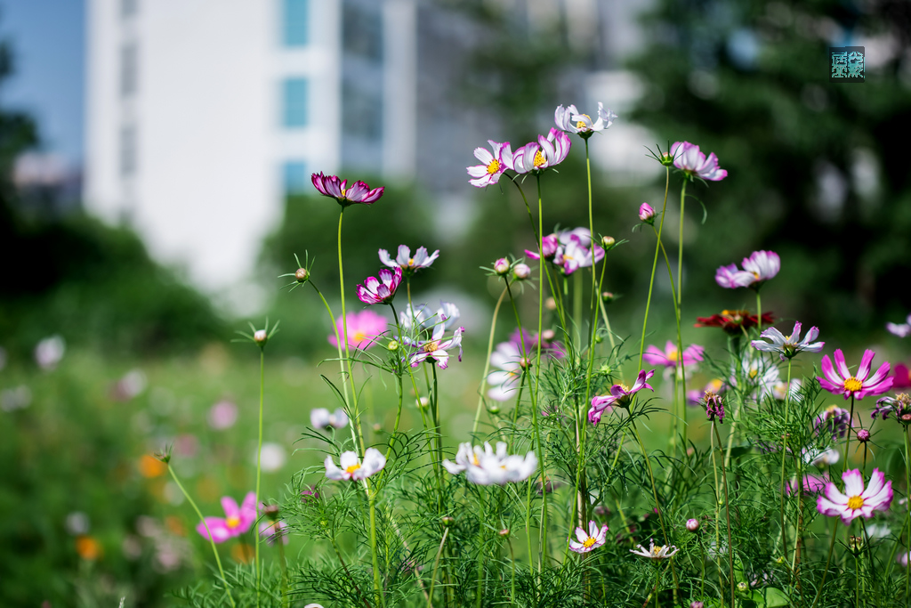 WilliamHill(威廉希尔)官网